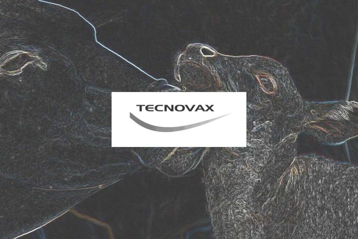 Tecnovax Compactado
