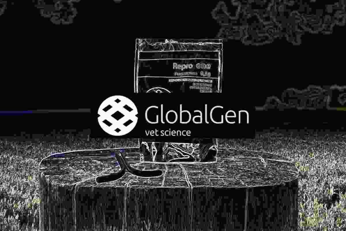 GlobalGen-compressed