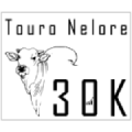 Logo Nelore 30K 120 x 120 Transparente